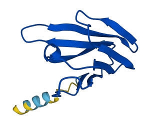TRBV10-3 3D structure