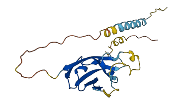 CD300H 3D structure