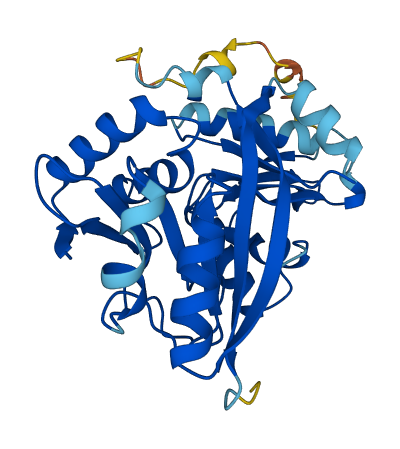 GLYATL1B 3D structure