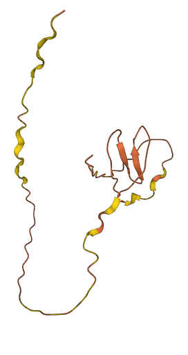 DPEP2NB 3D structure