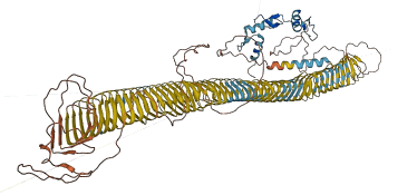 KLF18 3D structure