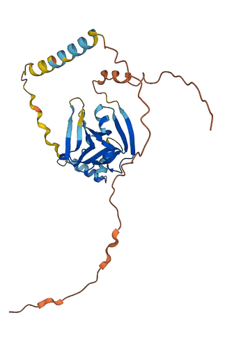 CENPVL1 3D structure