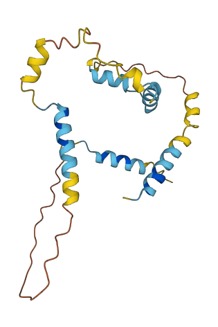 C1orf232 3D structure