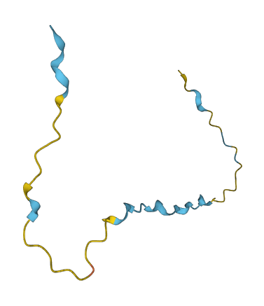 NBDY 3D structure
