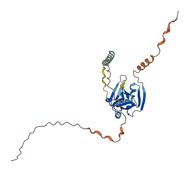 CENPVL3 3D structure