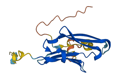 CRYAA2 3D structure