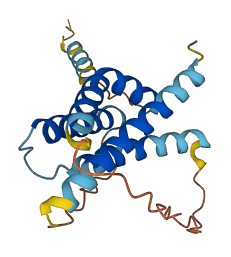 Gm29797 3D structure