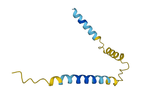 C3orf85 3D structure