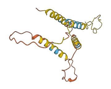 EDDM13 3D structure