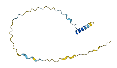 CXorf51A 3D structure