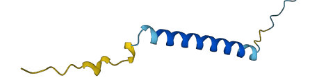 CTXND1 3D structure