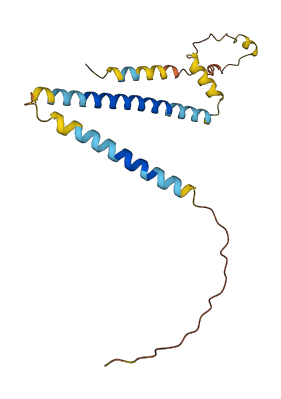 TEX50 3D structure