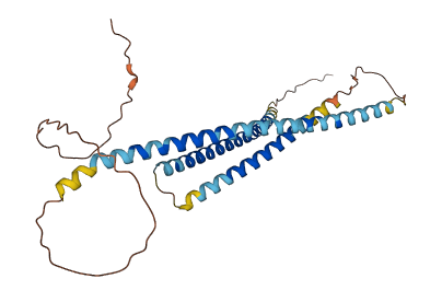CCDC196 3D structure