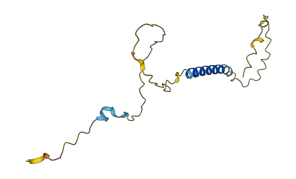 SMIM28 3D structure
