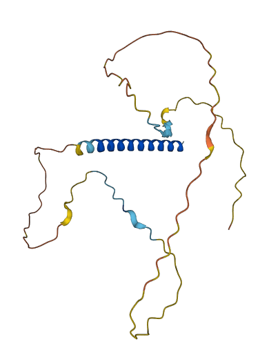 CCDC195 3D structure