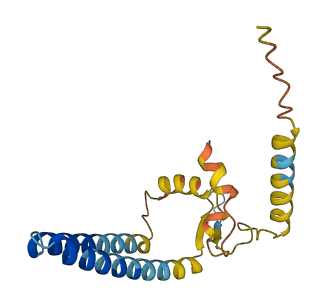 TEX51 3D structure