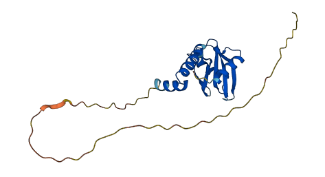 PNMA8C 3D structure