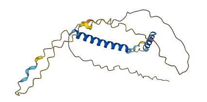 C19orf85 3D structure