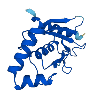 UBE2L5 3D structure