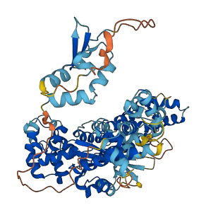 C17orf113 3D structure