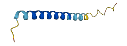 SMIM27 3D structure