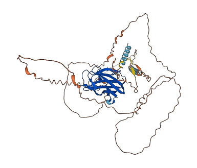 REELD1 3D structure