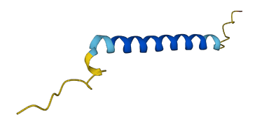 CTXND2 3D structure