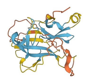 PRSS51 3D structure