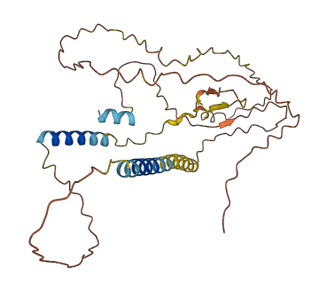 C13orf42 3D structure
