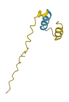 ETDC 3D structure