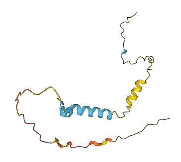 C11orf97 3D structure