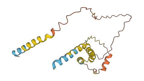 MDFIC2 3D structure