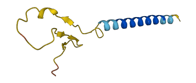 SMIM35 3D structure