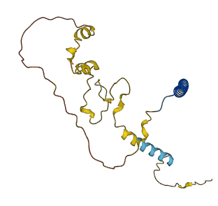 MBD3L2B 3D structure