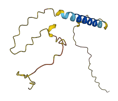 SMIM33 3D structure