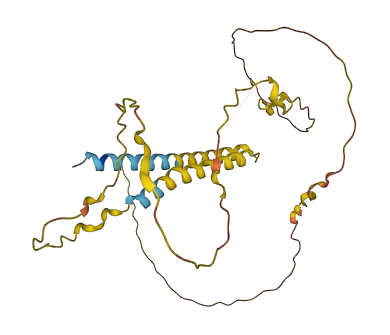 PRRT1B 3D structure