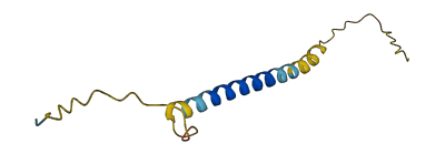 SERTM2 3D structure