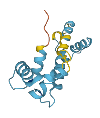 PVALEF 3D structure