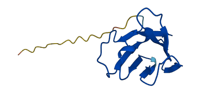 TRBV7-6 3D structure