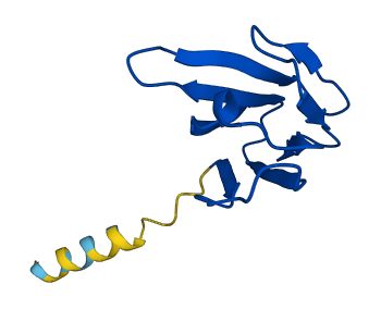 TRBV6-4 3D structure