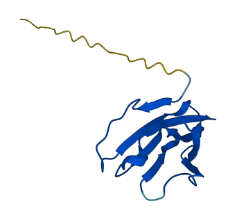 TRBV7-8 3D structure