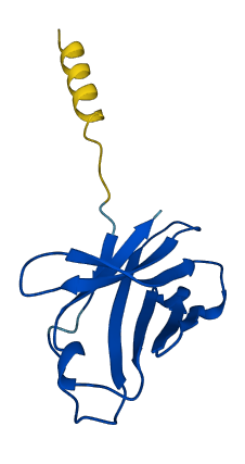 TRDV1 3D structure