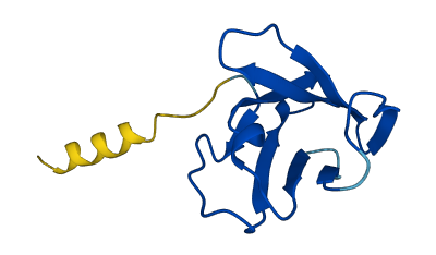 TRBV7-2 3D structure