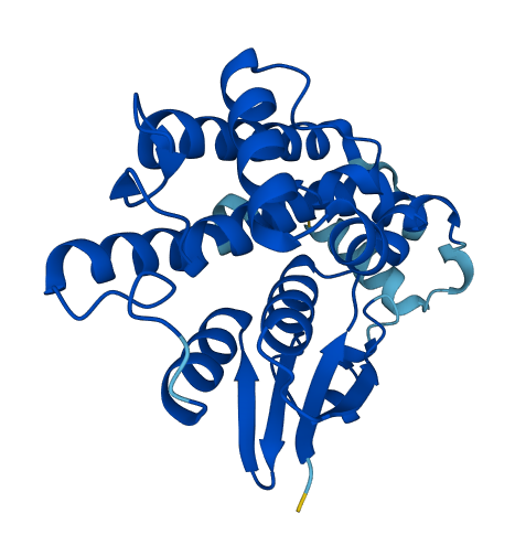 GSTT4 3D structure