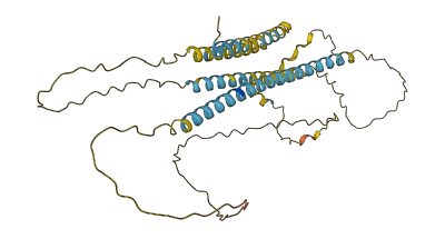 TMEM271 3D structure