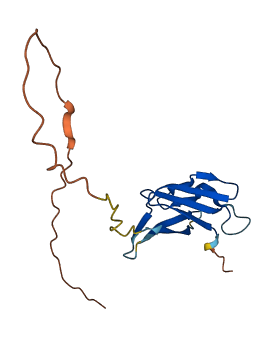 OOSP4B 3D structure