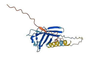 OOSP4A 3D structure