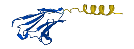 TRBV11-2 3D structure