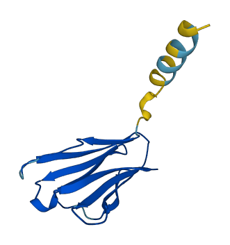 TRBV4-3 3D structure