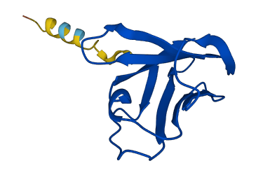 TRBV5-8 3D structure